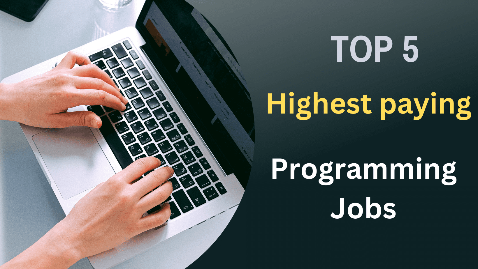 The Ultimate Guide to the Top 5 Highest Paying Programming Jobs